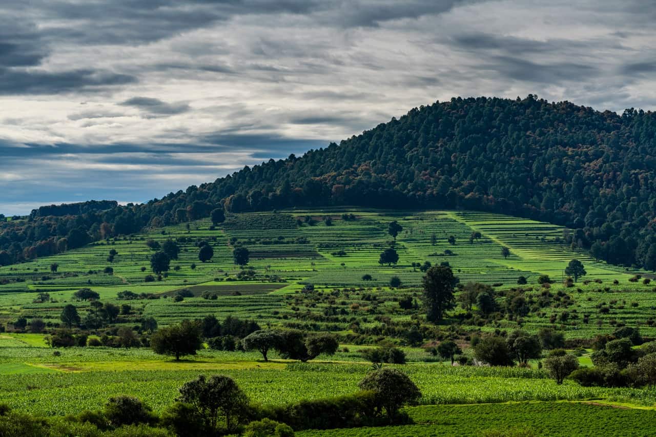 cerro